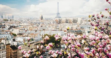 2017-05-09 08.03.04 3_0.webp