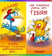 IMG_20190214_111256.webp IMG_20190214_111256.webp