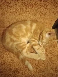 IMG_20190120_190117.webp IMG_20190120_190117.webp