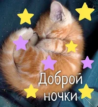 доброй ночки.webp