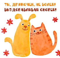 vyzdoravlivay33_happypik.ru_.webp