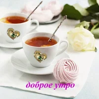 image.webp image.webp