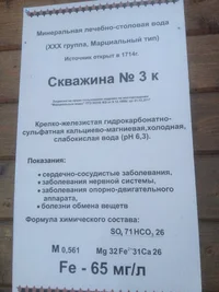 IMG_4490.webp IMG_4490.webp