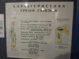 IMG_3191.webp IMG_3191.webp