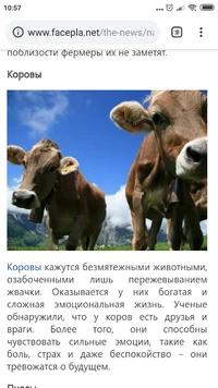 Screenshot_2019-03-12-10-57-20-198_com.android.chrome.webp Screenshot_2019-03-12-10-57-20-198_com.android.chrome.webp