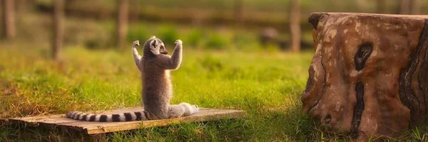 1500x500.webp 1500x500.webp