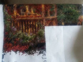 20190317_151034.webp 20190317_151034.webp