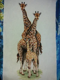 20190403_102810.webp 20190403_102810.webp