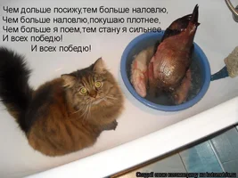 1556778123924.webp 1556778123924.webp