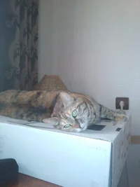 IMG_20190507_181400.webp IMG_20190507_181400.webp