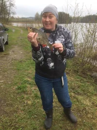 красноперка.webp красноперка.webp