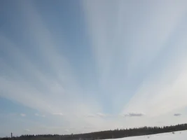 P3301236.webp P3301236.webp