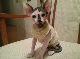 20141223_014303.webp 20141223_014303.webp