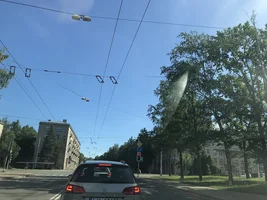 image.webp image.webp