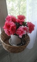 20160618_103845.jpg 20160618_103845.jpg