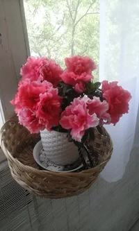 20160618_103845.webp 20160618_103845.webp