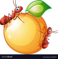 a-fruit-with-two-ants-vector-1207479.webp