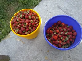 IMG_20190612_195004.webp