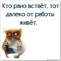 123721673_large_s__30_.webp