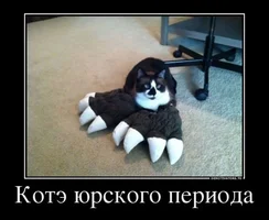 bfc4a7fa-e317-4986-9c34-99f0b985861e.webp