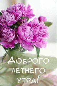 IMG-3b80c3335641aee727f802bf7d46c548-V.webp IMG-3b80c3335641aee727f802bf7d46c548-V.webp