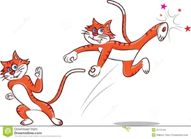 kung-fu-cat-vector-illustration-doing-35123760.webp