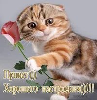 image-35.webp image-35.webp