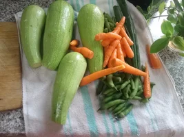 20190714_114732.jpg 20190714_114732.jpg