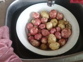 20190714_115042.jpg 20190714_115042.jpg