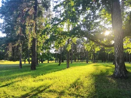 IMG_20190715_184153.webp