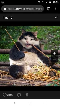 Screenshot_20190720-175237.webp