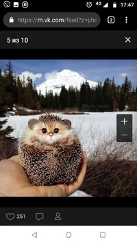 Screenshot_20190720-174750.webp