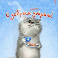 dobroe_utro_kot_132.webp dobroe_utro_kot_132.webp