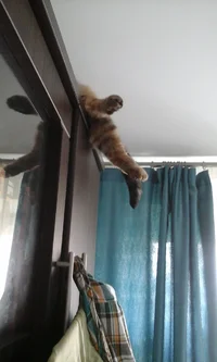 20160712_101305.jpg 20160712_101305.jpg