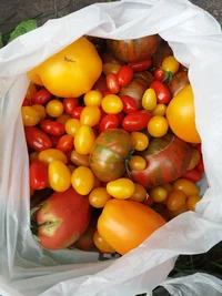 20190730_122213.jpg 20190730_122213.jpg