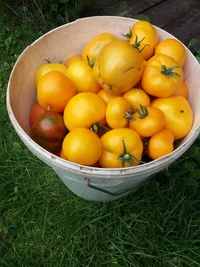 20190730_122138.jpg 20190730_122138.jpg