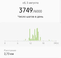 Screenshot_20190804-174238_Samsung Health.webp