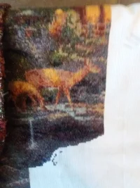 20190804_060833.jpg 20190804_060833.jpg