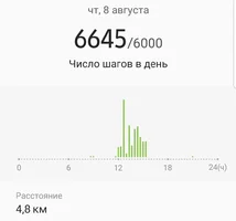 Screenshot_20190812-080408_Samsung Health.webp