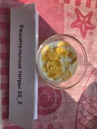 WhatsApp Image 2019-08-22 at 07.13.36 (1).webp