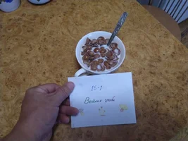 Хлопья2.webp Хлопья2.webp