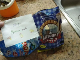 Рис 1.webp Рис 1.webp