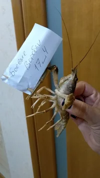 IMG_20190907_200715112.webp IMG_20190907_200715112.webp