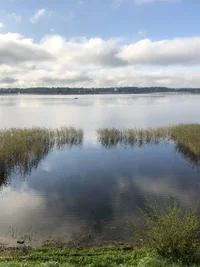 IMG_0082.jpg IMG_0082.jpg