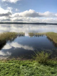 IMG_0088.jpg IMG_0088.jpg