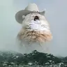 Nikitushka