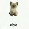 OlgaOl