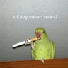Never Give Up