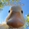 УлиткаЯ