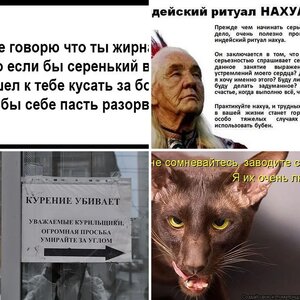 Картинки